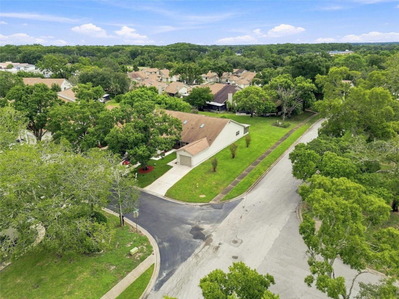 11712 Spring Tree Lane, Port Richey, FL 34668 Photo