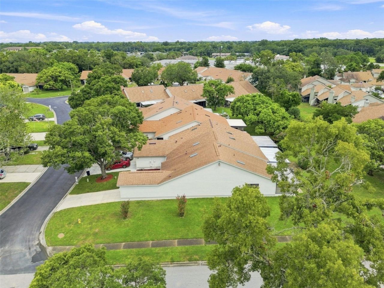 11712 Spring Tree Lane, Port Richey, FL 34668 Photo