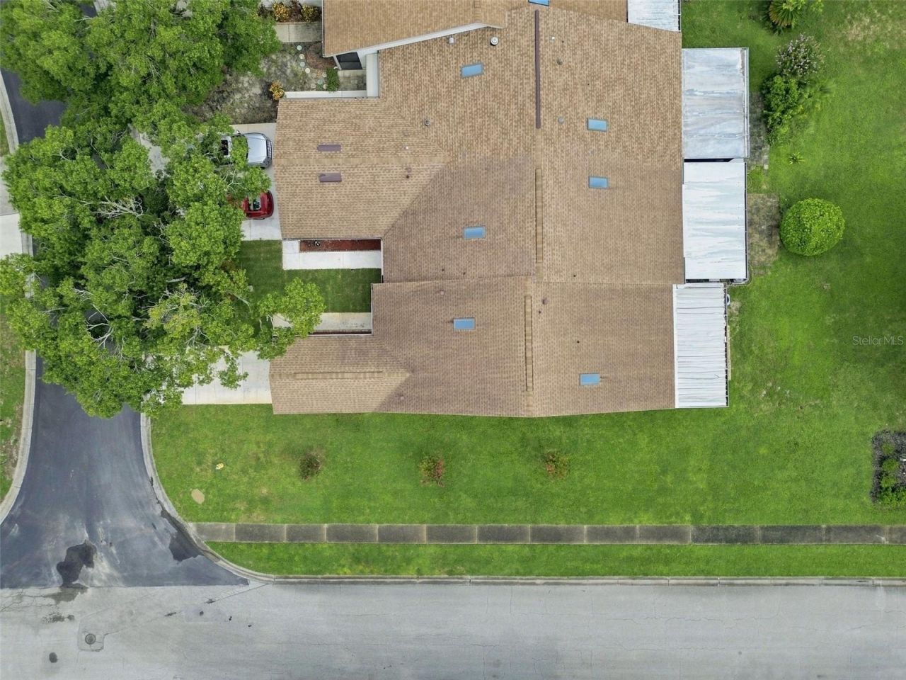 11712 Spring Tree Lane, Port Richey, FL 34668 Photo