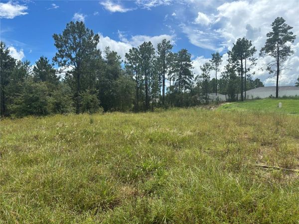 12828 SW 86 CIRCLE , OCALA, FL 34473