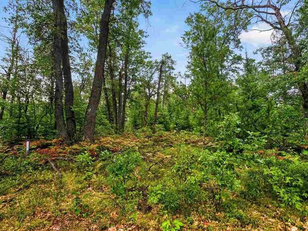 00 Valley Vista Lot 12 Drive, Mio, MI 48647