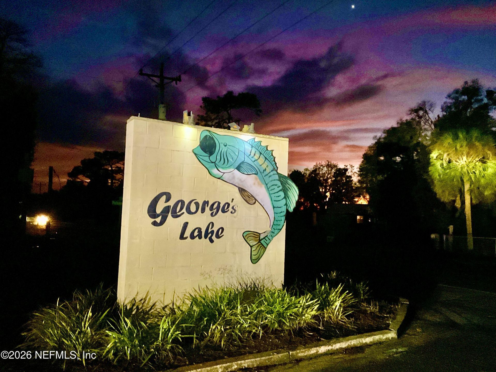 1150 Coral Farms Road, Florahome, FL 32140 Photo