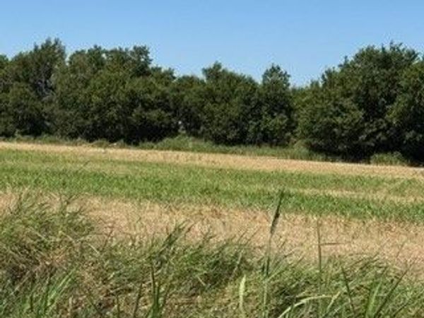 TBD TX-95 , Holland, TX 76534