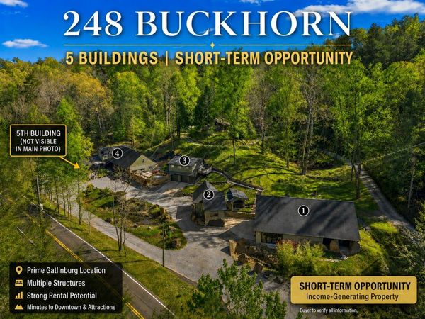 238 & 248 Buckhorn Road, Gatlinburg, TN 37738
