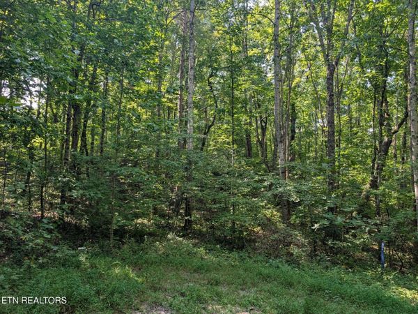 Retreat Circle- Lot- 48,49,50 , Crossville, TN 38572