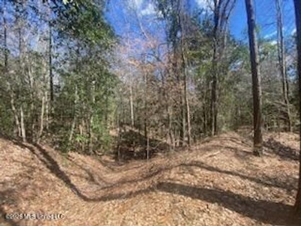Turkey Creek Road, Natchez, MS 39120