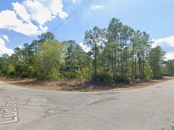 315 LUDLOW AVENUE , LEHIGH ACRES, FL 33972
