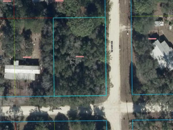 14111 NE 45TH PLACE , WILLISTON, FL 32696