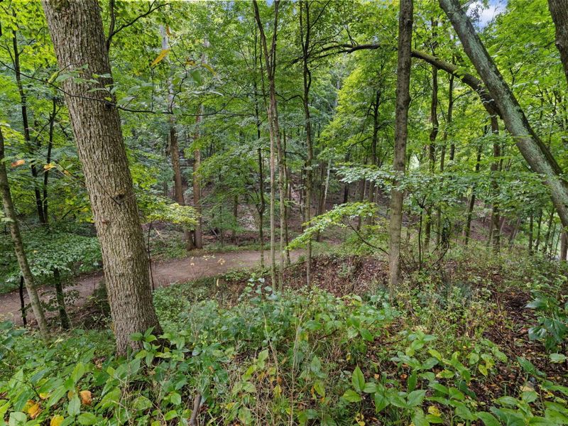 105 Mill Road , Bellville, OH 44813 Photo 52