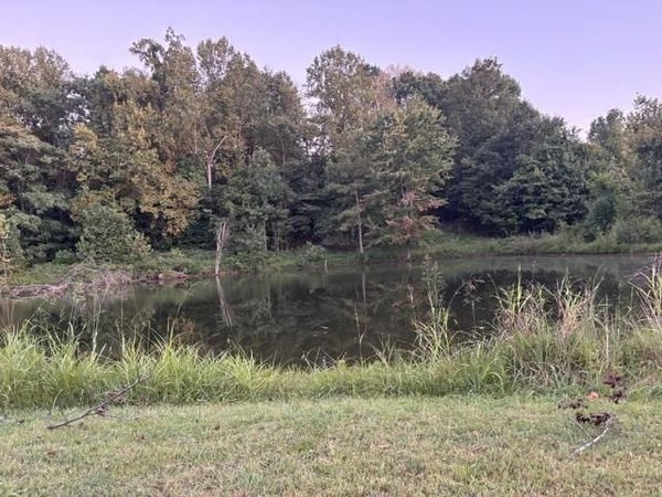 13284 Highway 431 , Central City, KY 42330