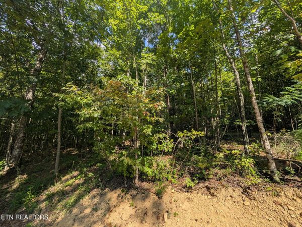 Lookout Drive - Lot 63 , Crossville, TN 38572