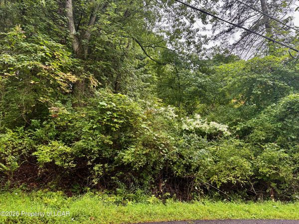 Lot 13 Woodlawn Avenue, Harveys Lake, PA 18618