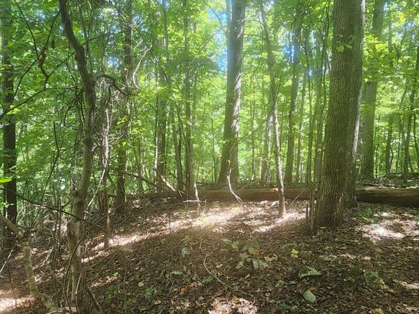 0 Nick-A-Jack, South Pittsburg, TN 37380