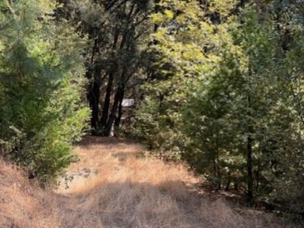 0 S Cedar Ridge, Oakhurst, CA 93644