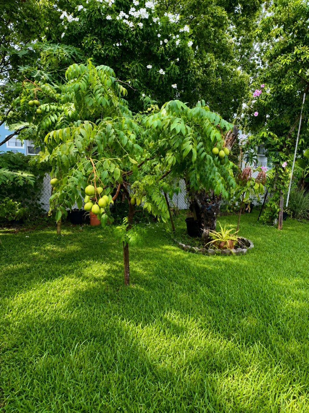1412 SW 75th Avenue, North Lauderdale, FL 33068 Photo