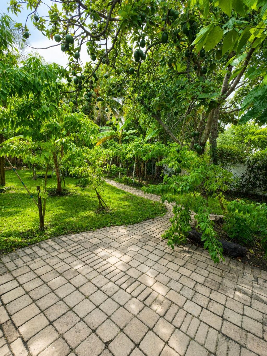 1412 SW 75th Avenue, North Lauderdale, FL 33068 Photo