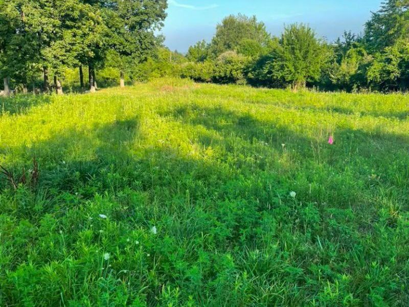 72 Beissinger Rd, Hamilton, OH 45013 Photo 2