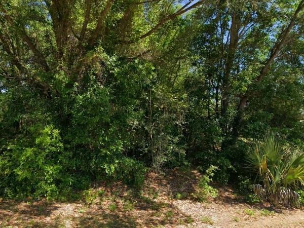 19801 FLAMINGO DRIVE , DUNNELLON, FL 34431