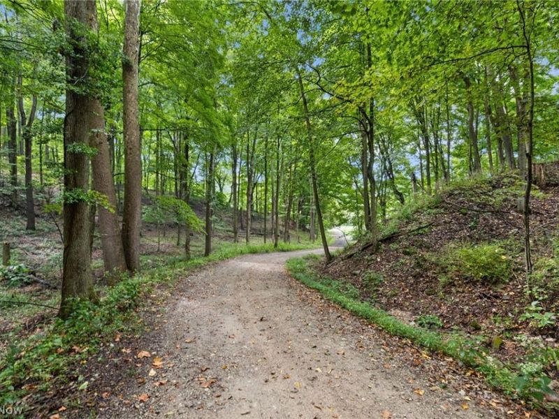 105 Mill Road, Bellville, OH 44813 Photo 2