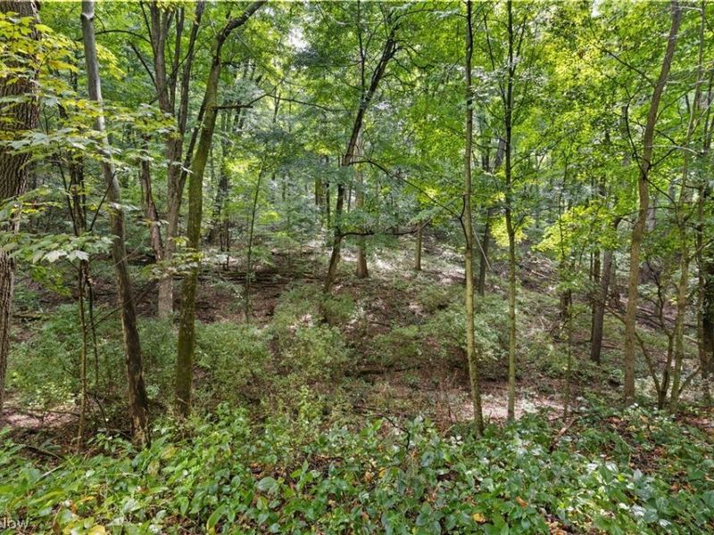 105 Mill Road, Bellville, OH 44813 Photo 3