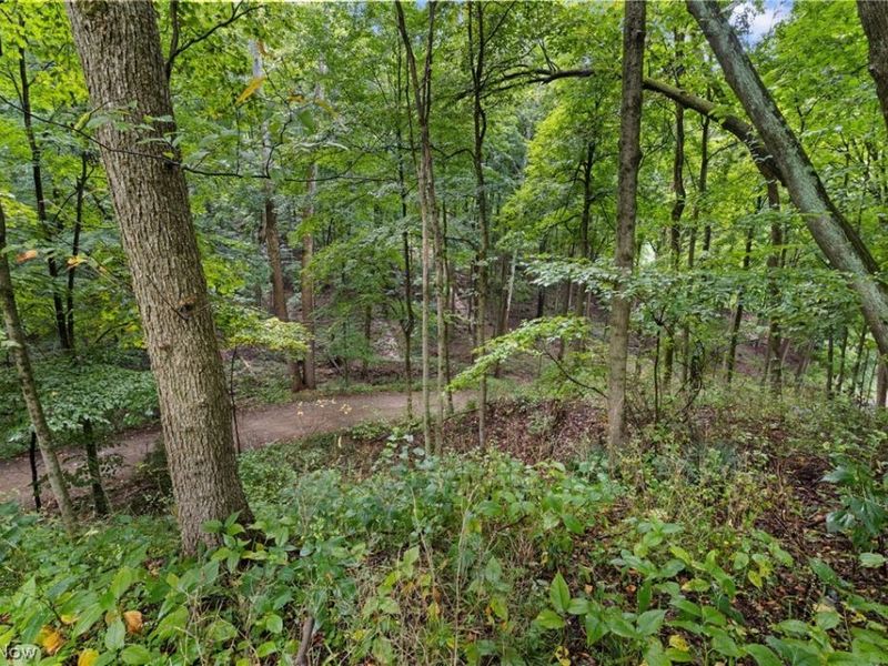 105 Mill Road, Bellville, OH 44813 Photo 44