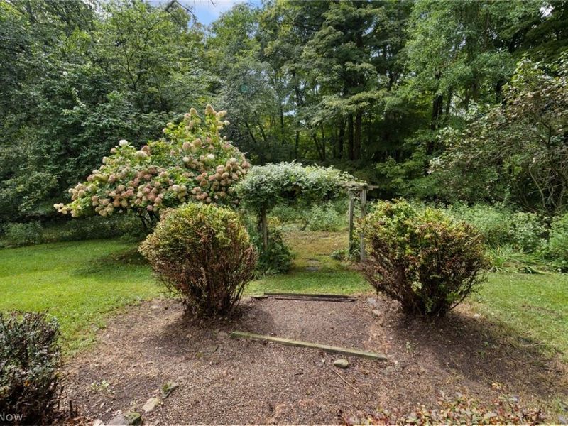 105 Mill Road, Bellville, OH 44813 Photo 5