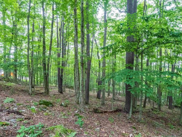 126 Mountainside Road, Davis, WV 26260