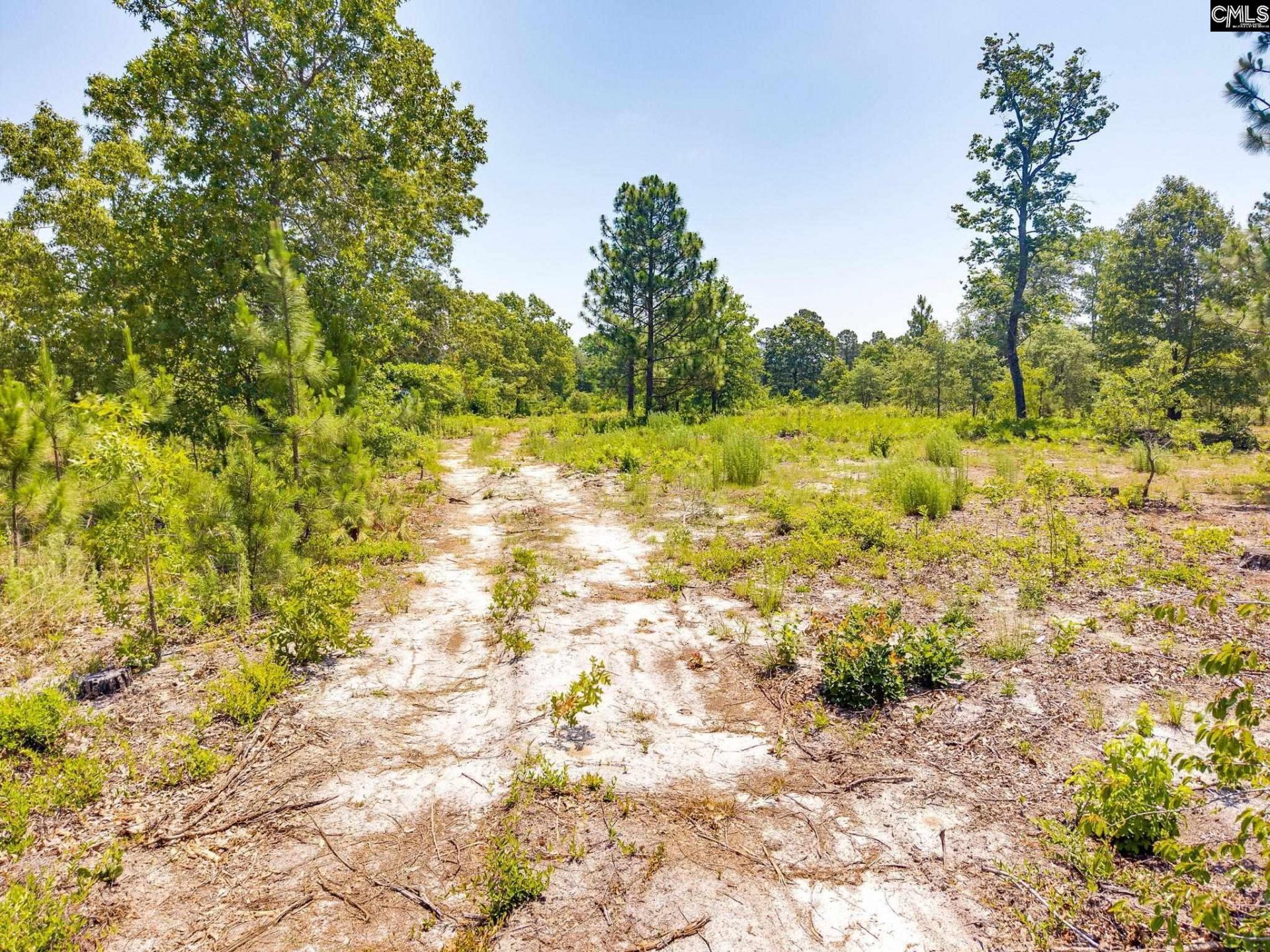 443 Hound Hollow Road Photo 7
