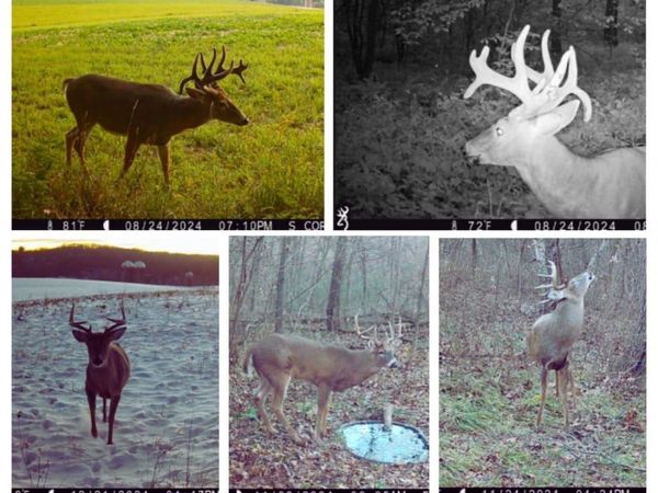 000 County Road K, Blue Mounds, WI 53517