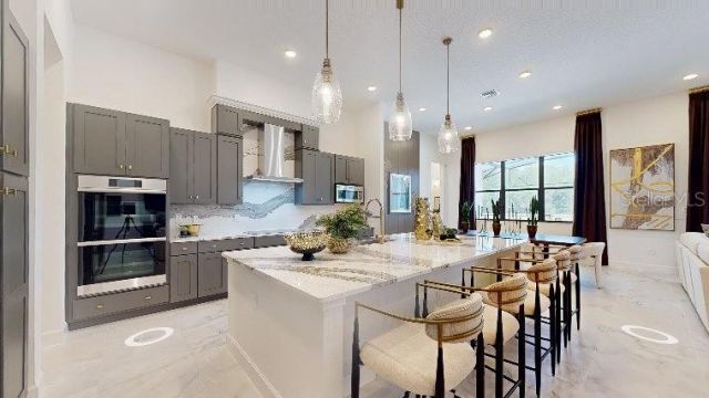 1422 Butterfly Milkweed Court, Davenport, FL 33837 Photo
