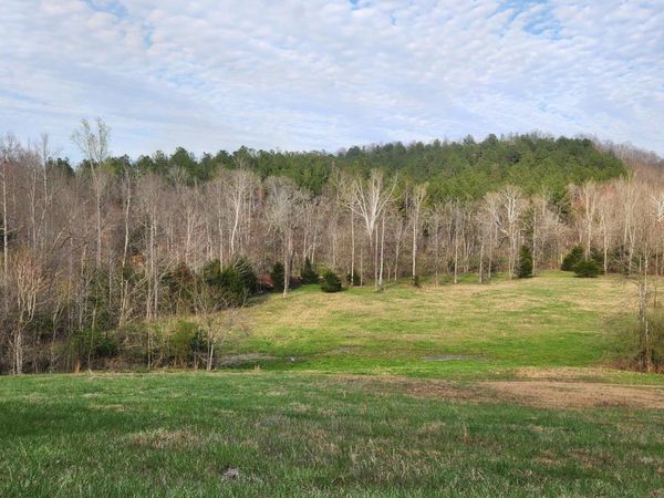 0 Mill Drive, Decatur, TN 37322