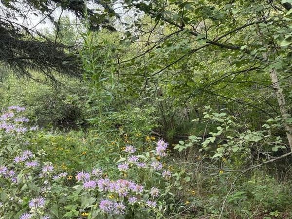 Lot 423 Luce, Houghton Lake, MI 48629