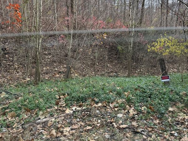 216 Happy Hollow Rd , Goodlettsville, TN 37072