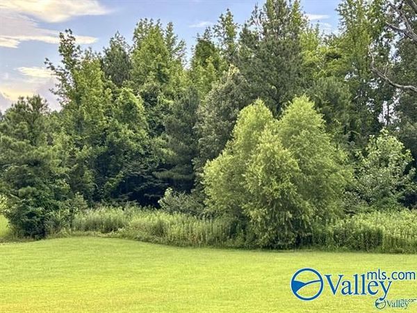 4250 Bennich Road, Decatur, AL 35603