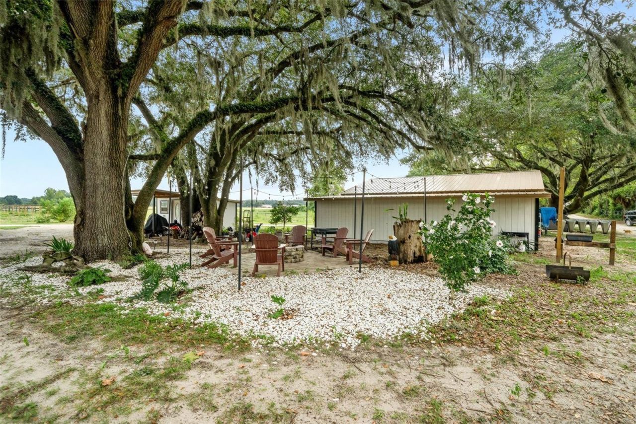 1750 SW 17th Terrace , Bell, FL 32619 Photo