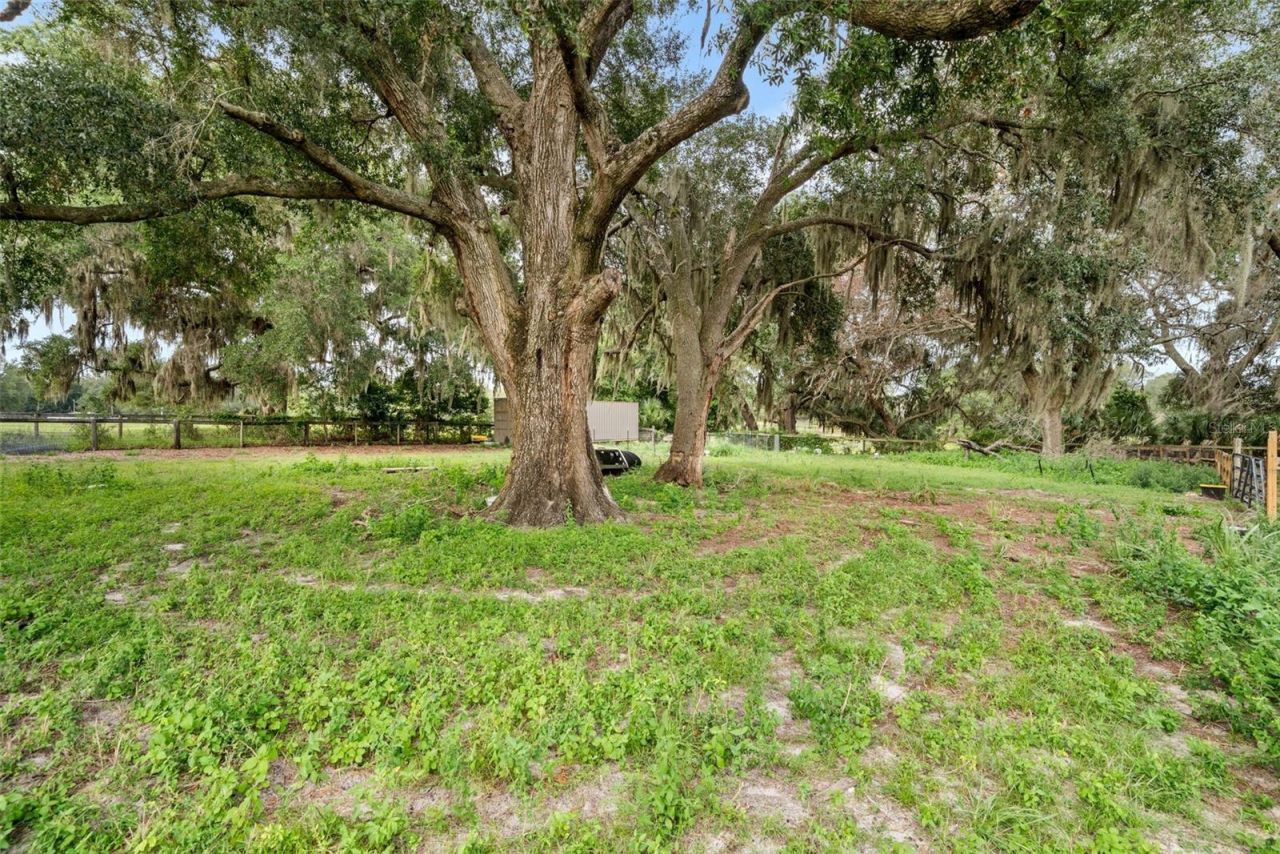 1750 SW 17th Terrace , Bell, FL 32619 Photo