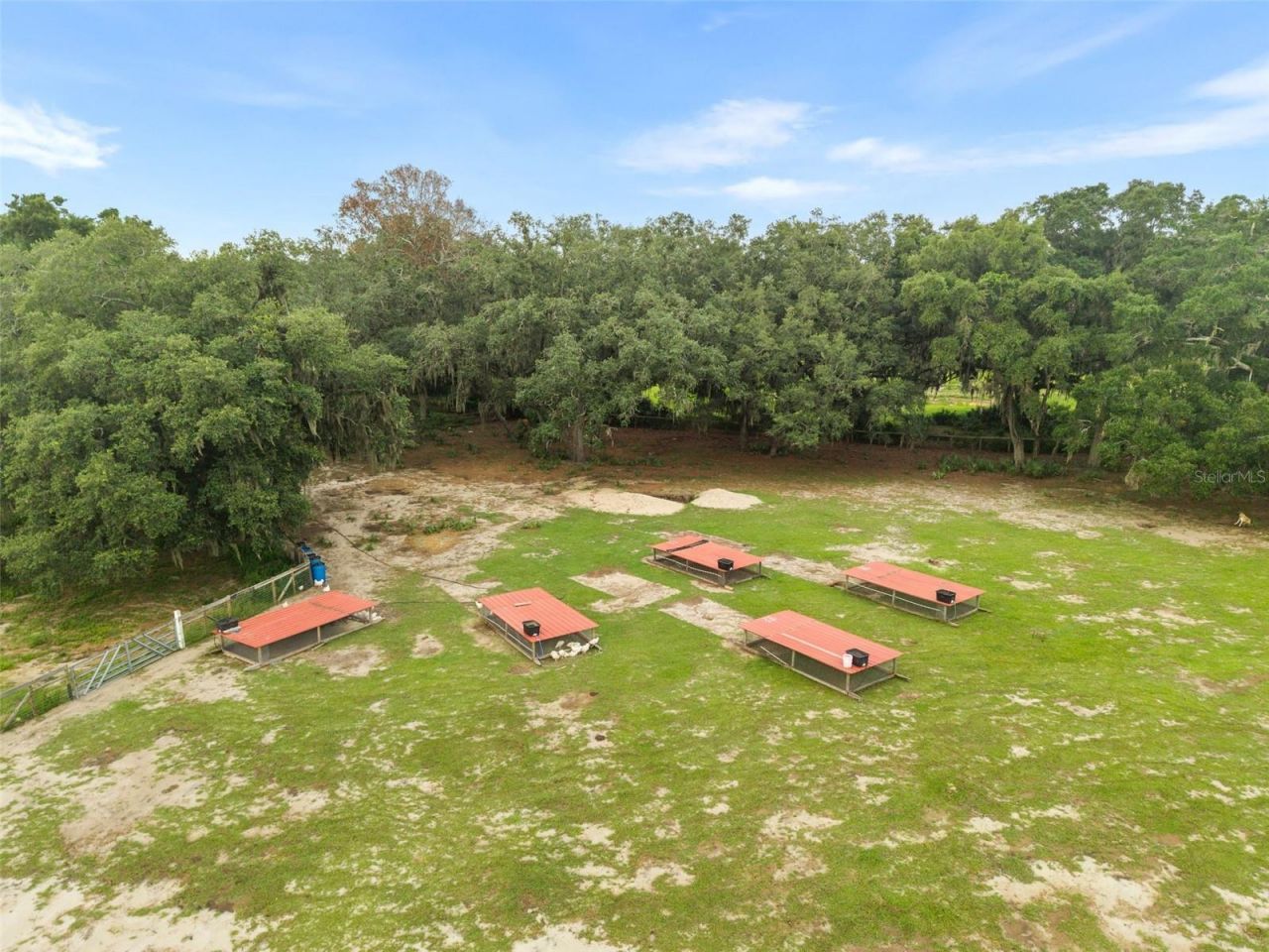 1750 SW 17th Terrace , Bell, FL 32619 Photo