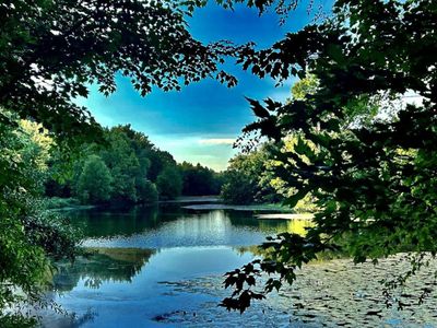188 Wild Turkey Lane , Camden, SC 29020