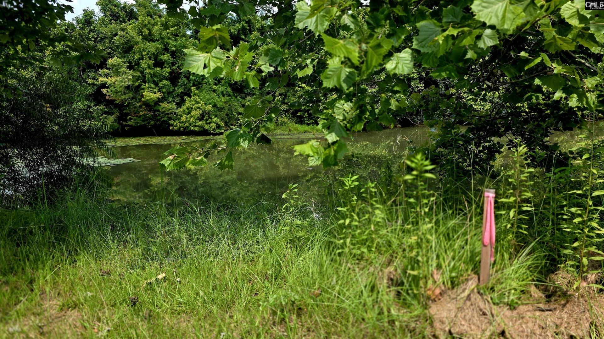 188 Wild Turkey Lane Photo 25
