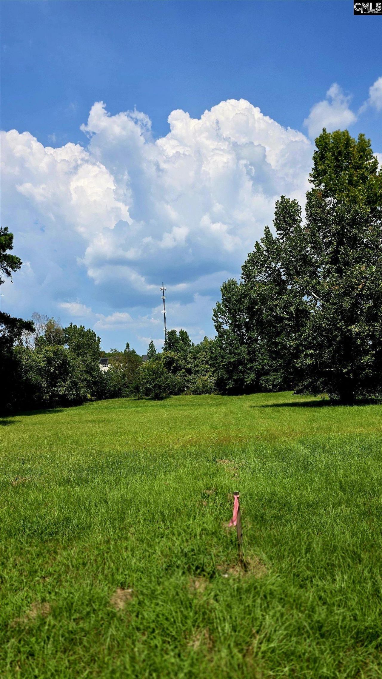 188 Wild Turkey Lane Photo 26
