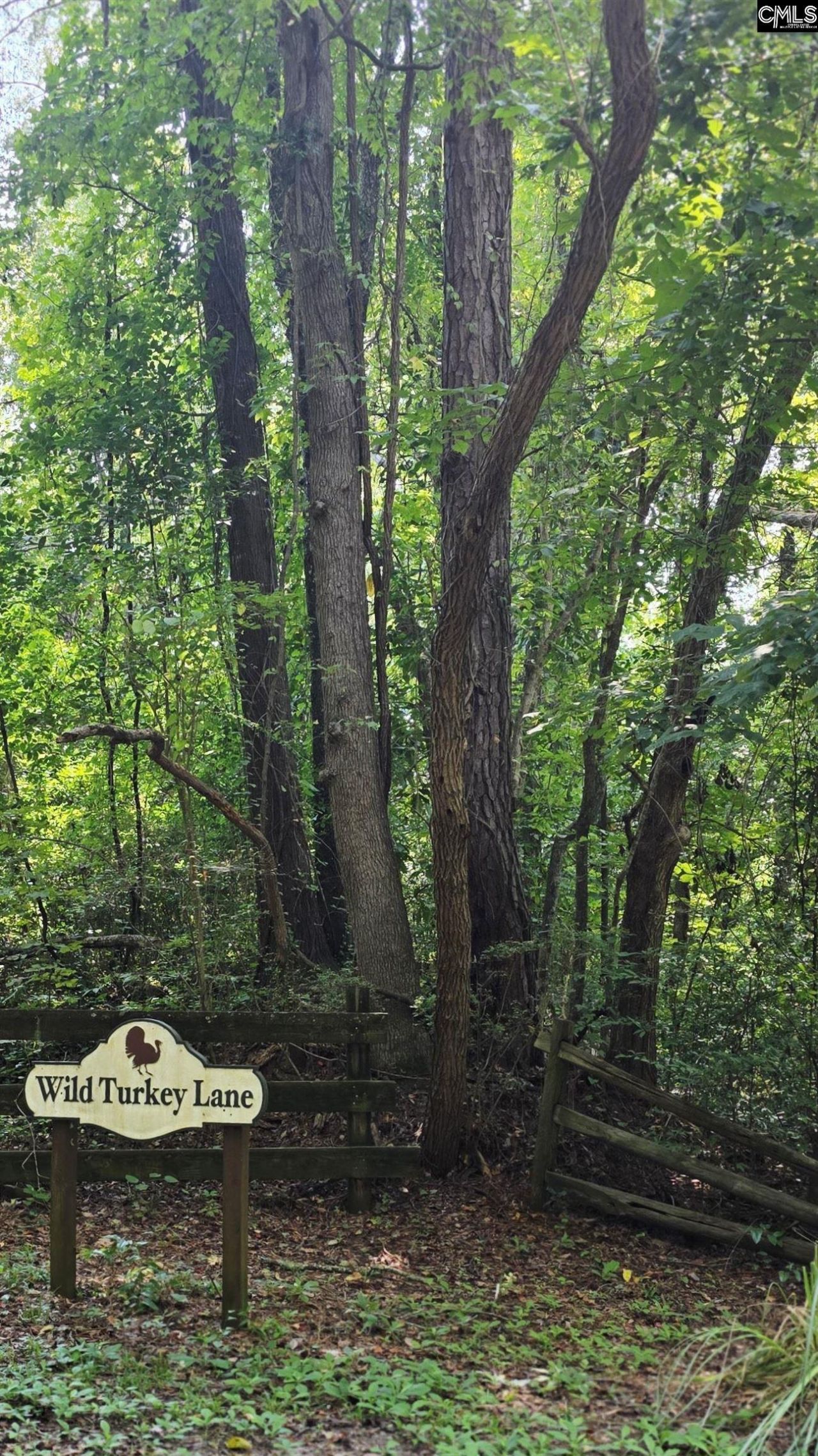188 Wild Turkey Lane Photo 27