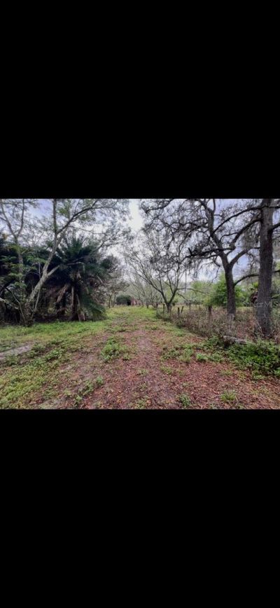 20231 Painter Place Place , Spring Hill, FL 34610 Photo