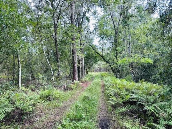 10579 SE COUNTY ROAD 337 , TRENTON, FL 32693