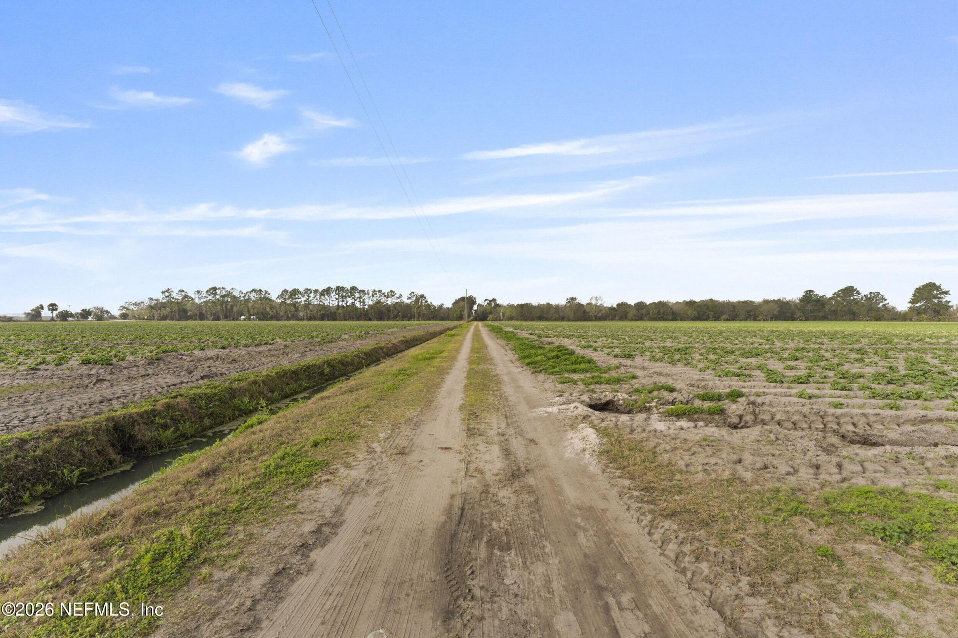 195 Carter Crabtree Road, East Palatka, FL 32131 Photo