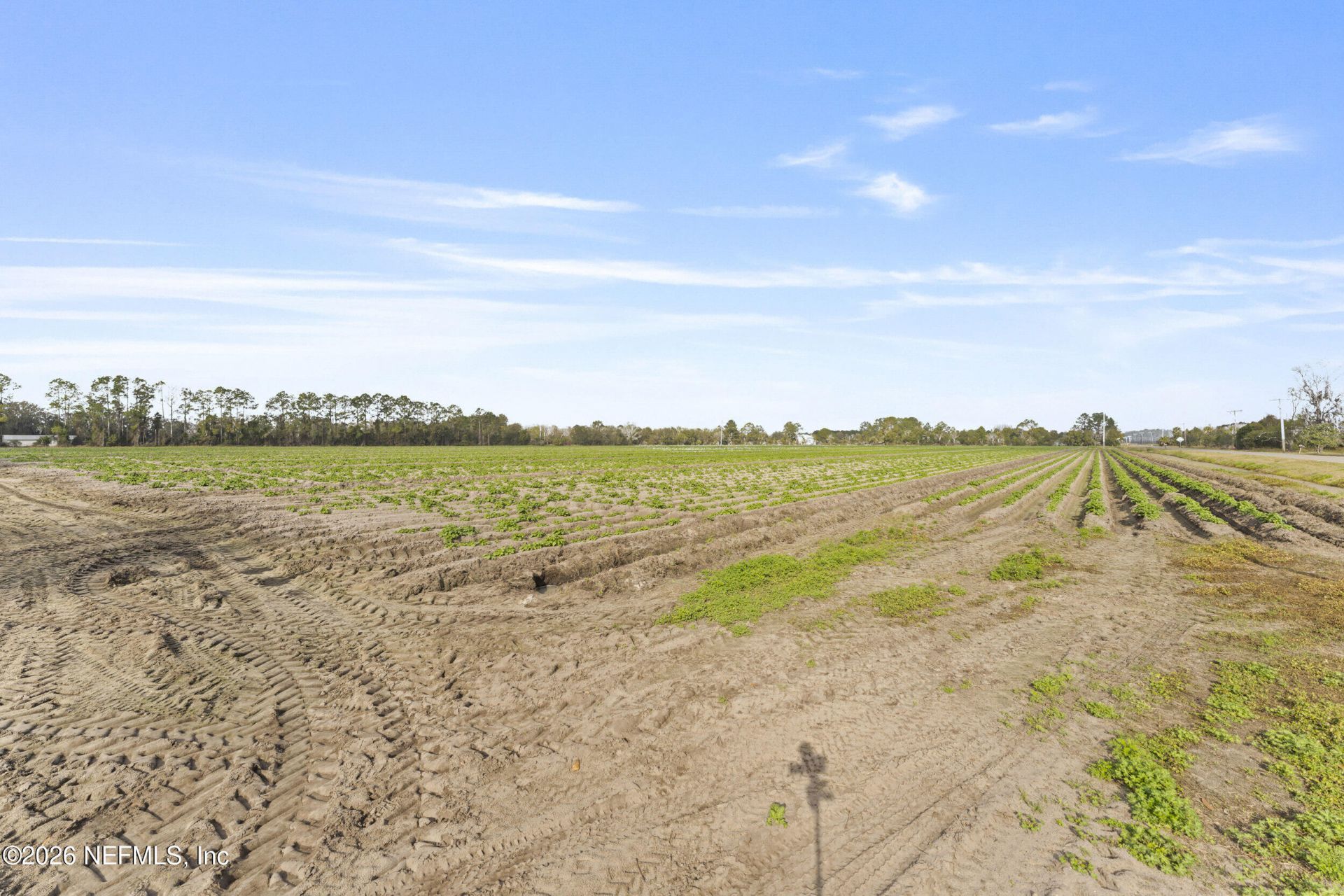 195 Carter Crabtree Road, East Palatka, FL 32131 Photo