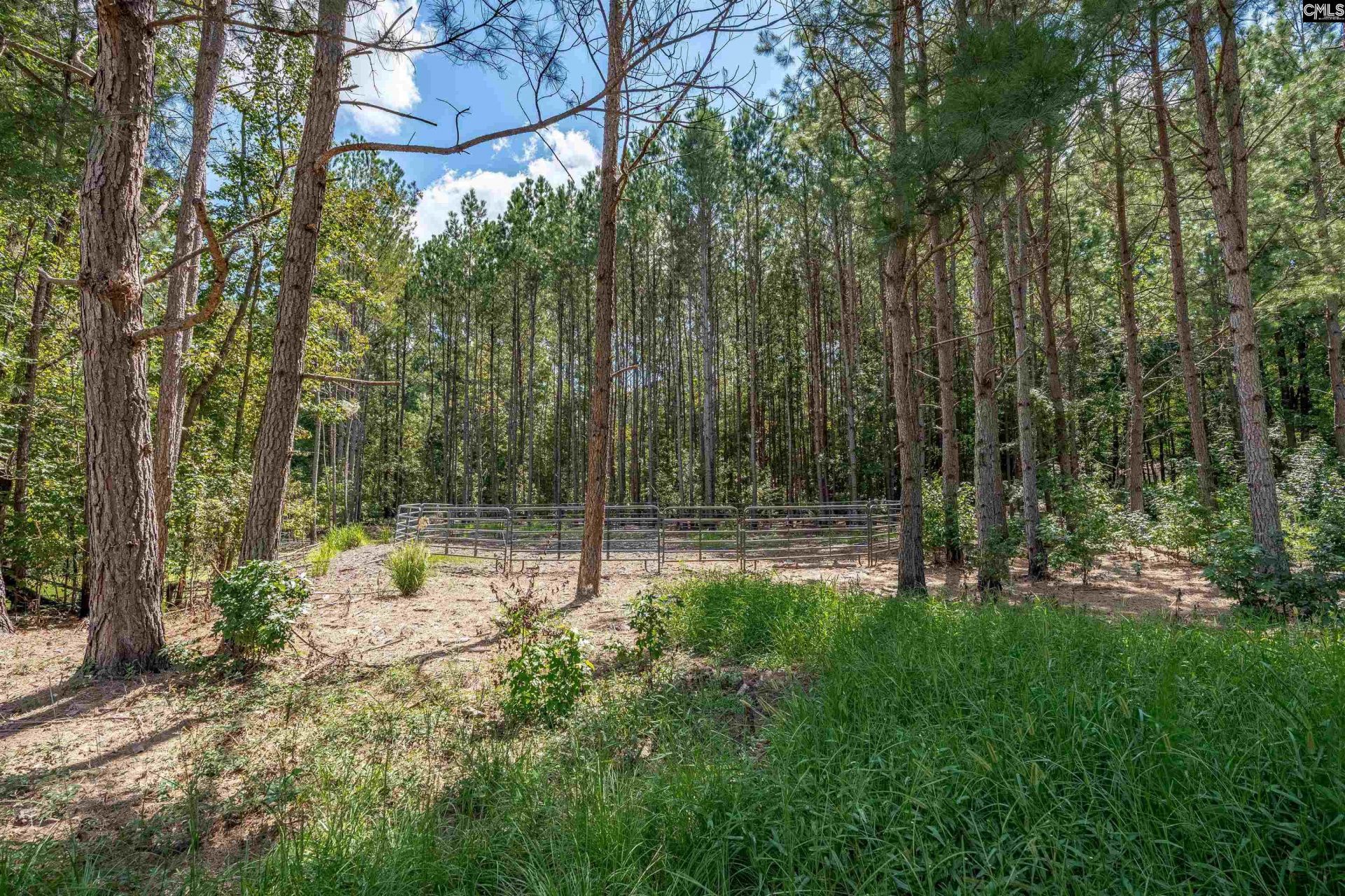 129 Jim Koon Road Photo 71