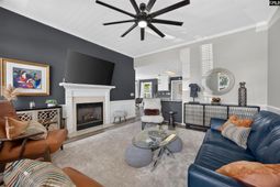 245 Hallie Hills Place  photo 4