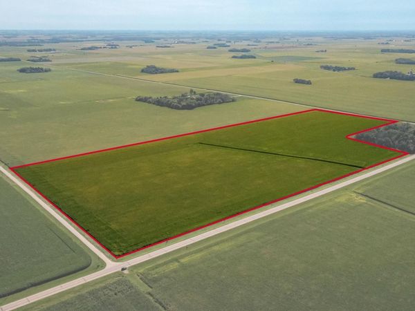 TBD mower/freeborn rd, Blooming Prairie, MN 55917