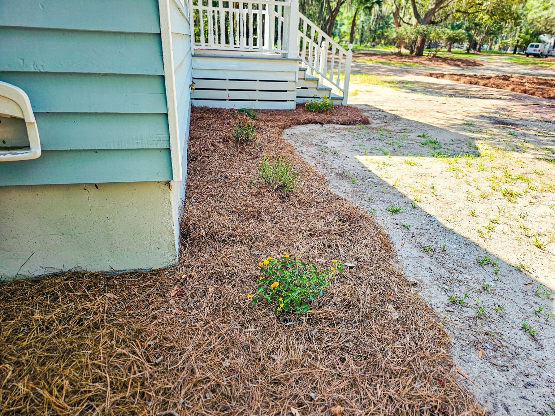 8780 Palmetto Road Photo 110