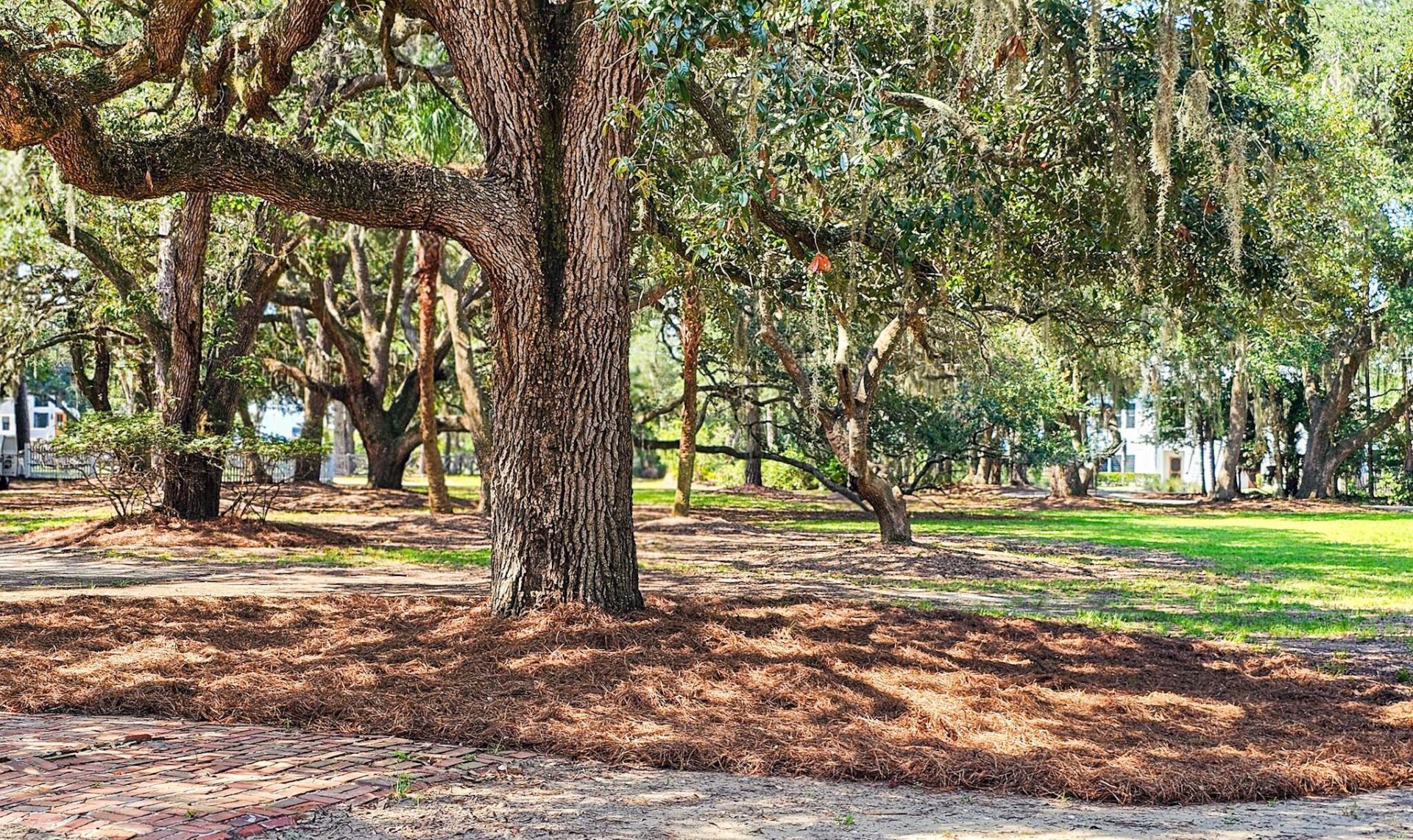 8780 Palmetto Road Photo 112